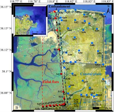Assessing the liquefaction potential of seabed soils based on ocean ambient noise in the Yellow River Delta